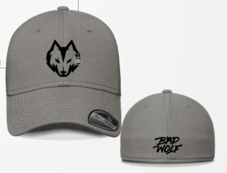 Gorra BADWOLF GRIS