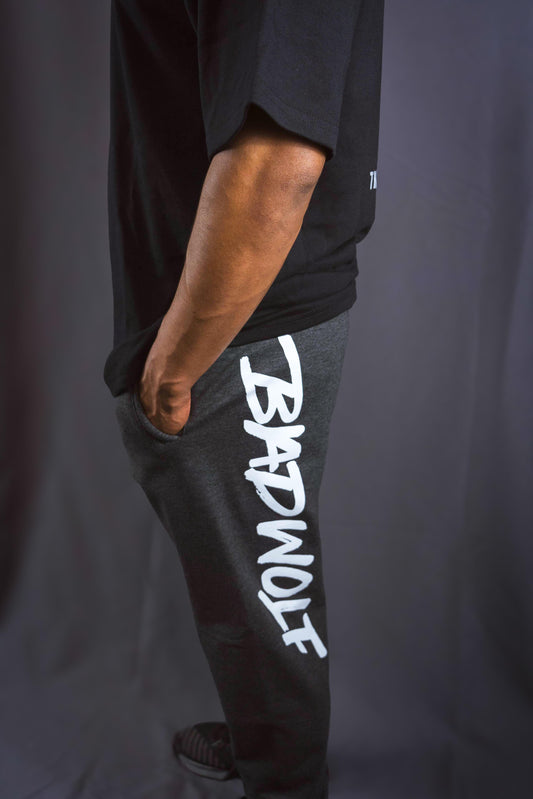 Pants BADWOLF - GRIS